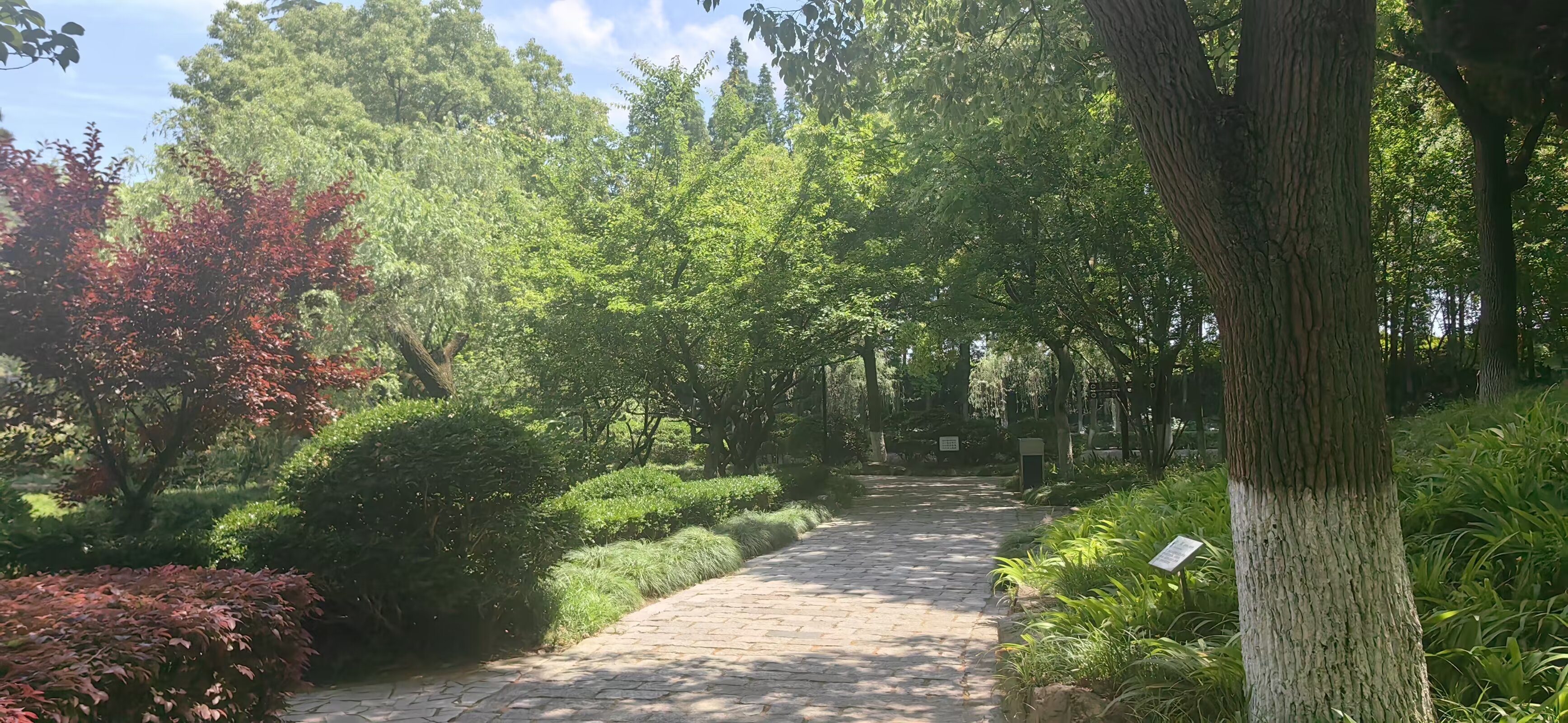 图片 4