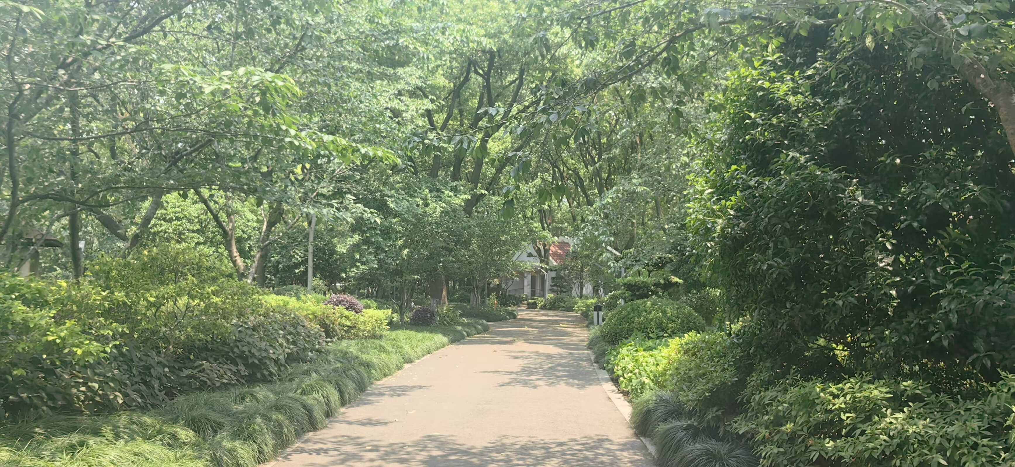 图片 4