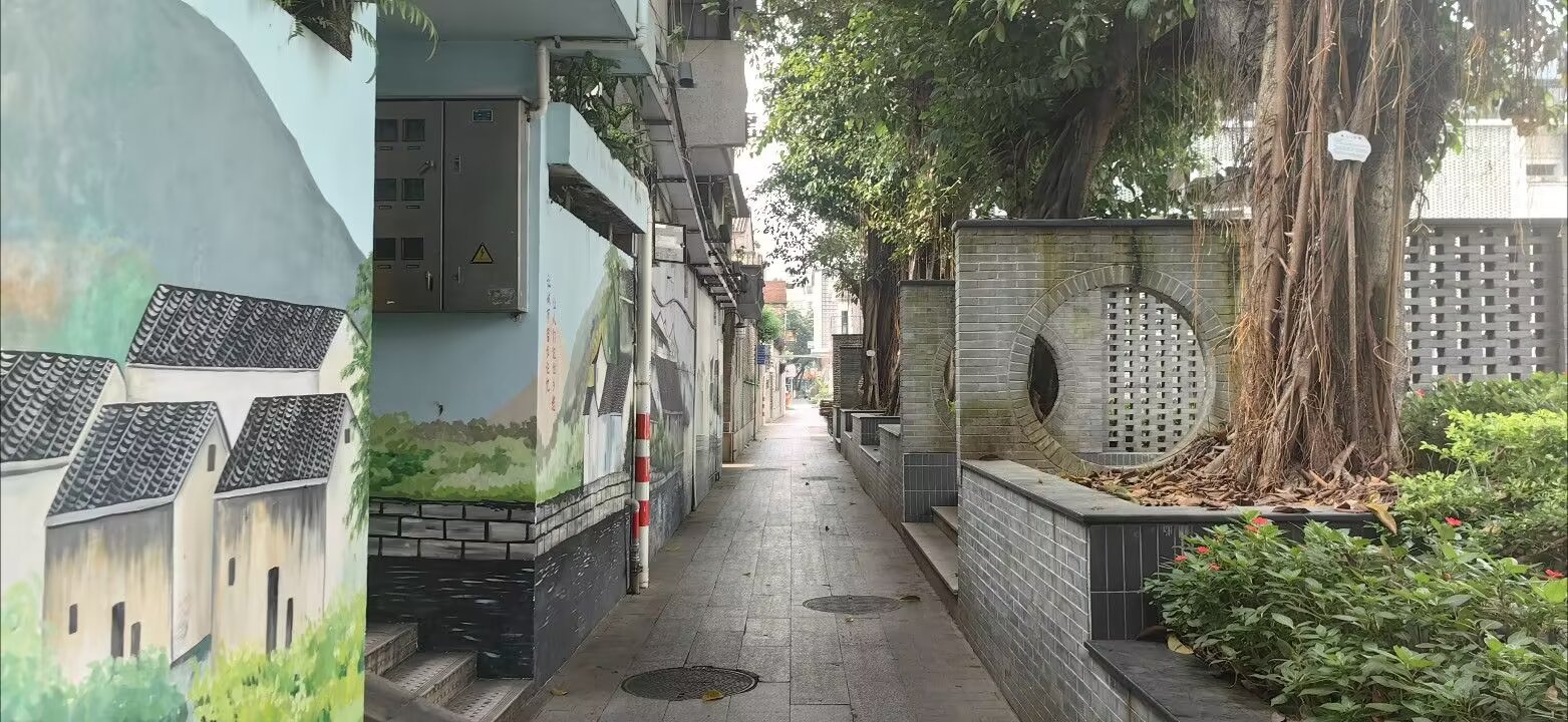 图片 5