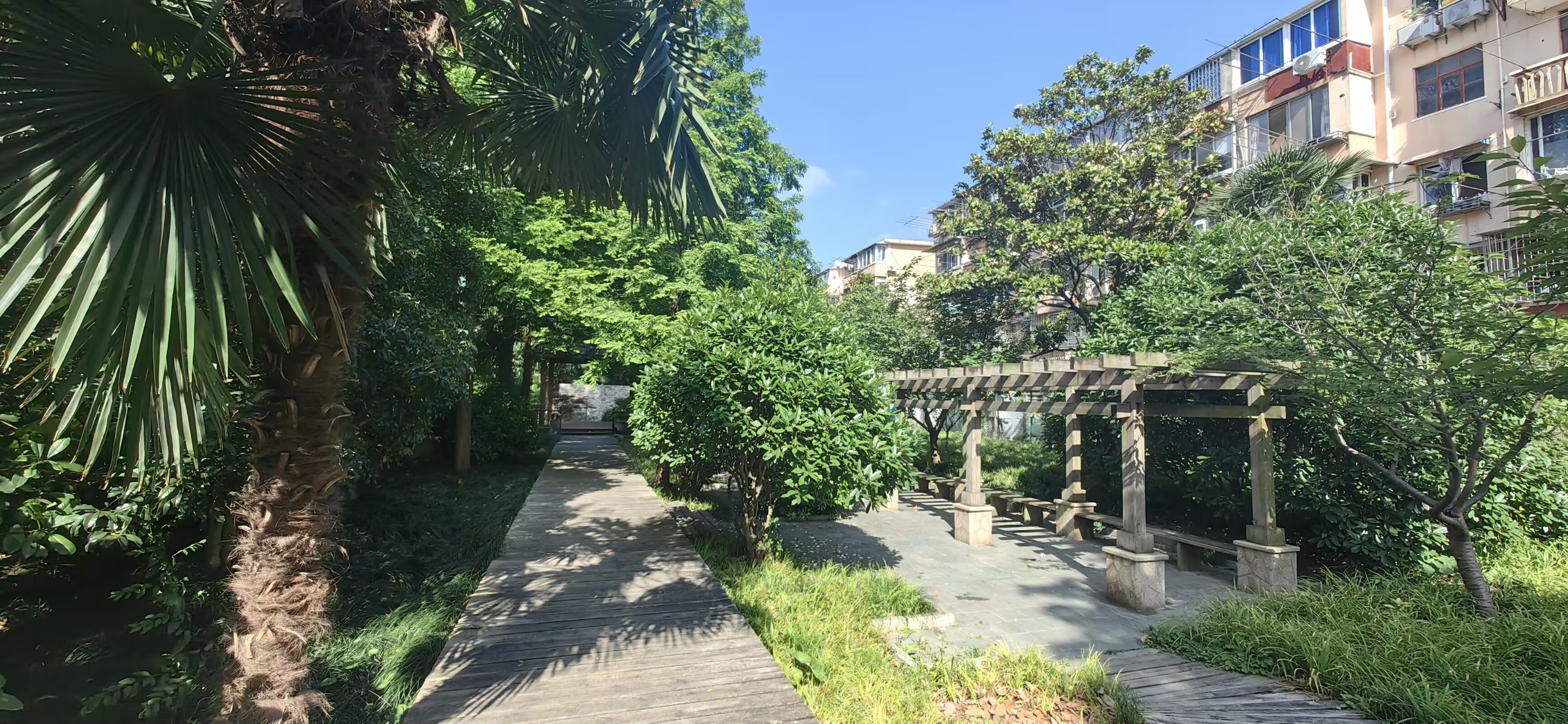 图片 6