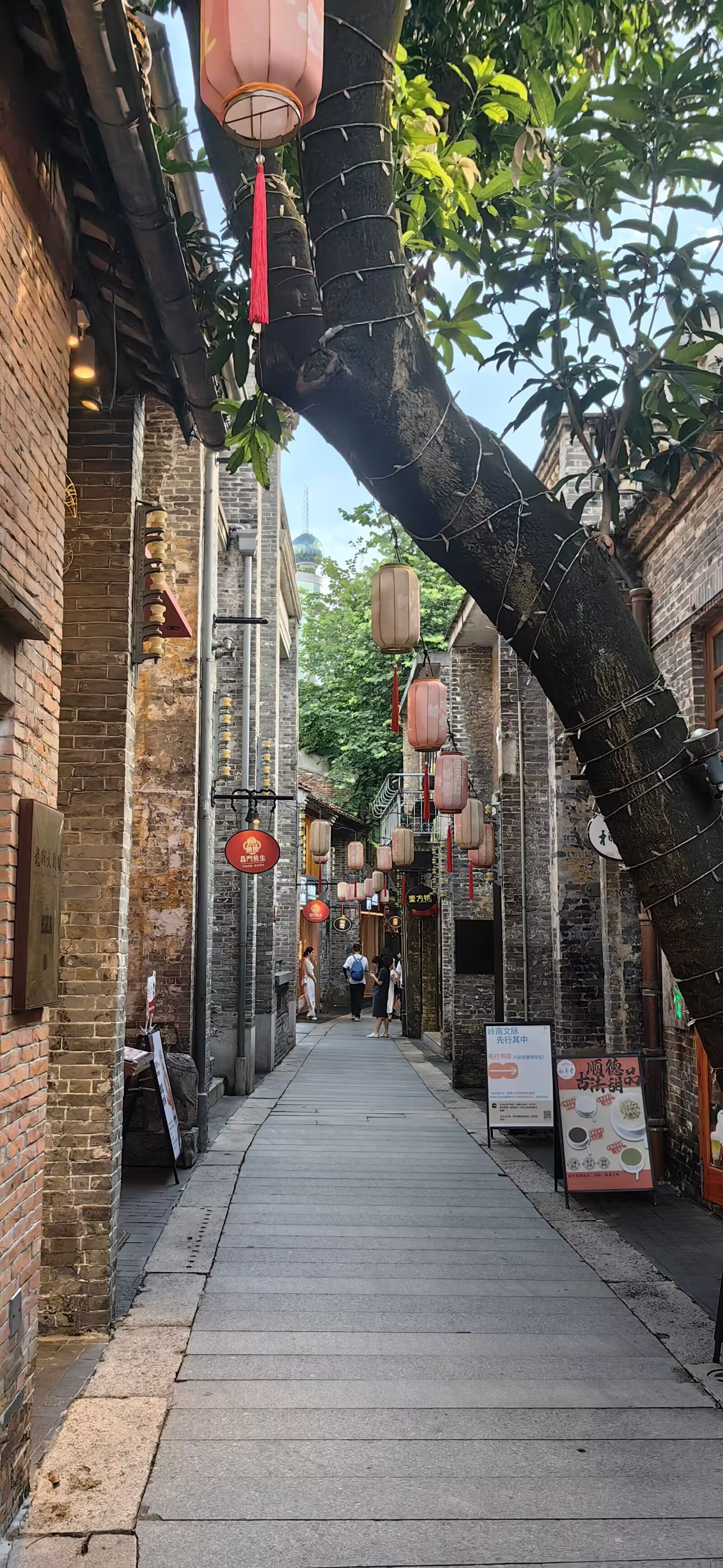 图片 7