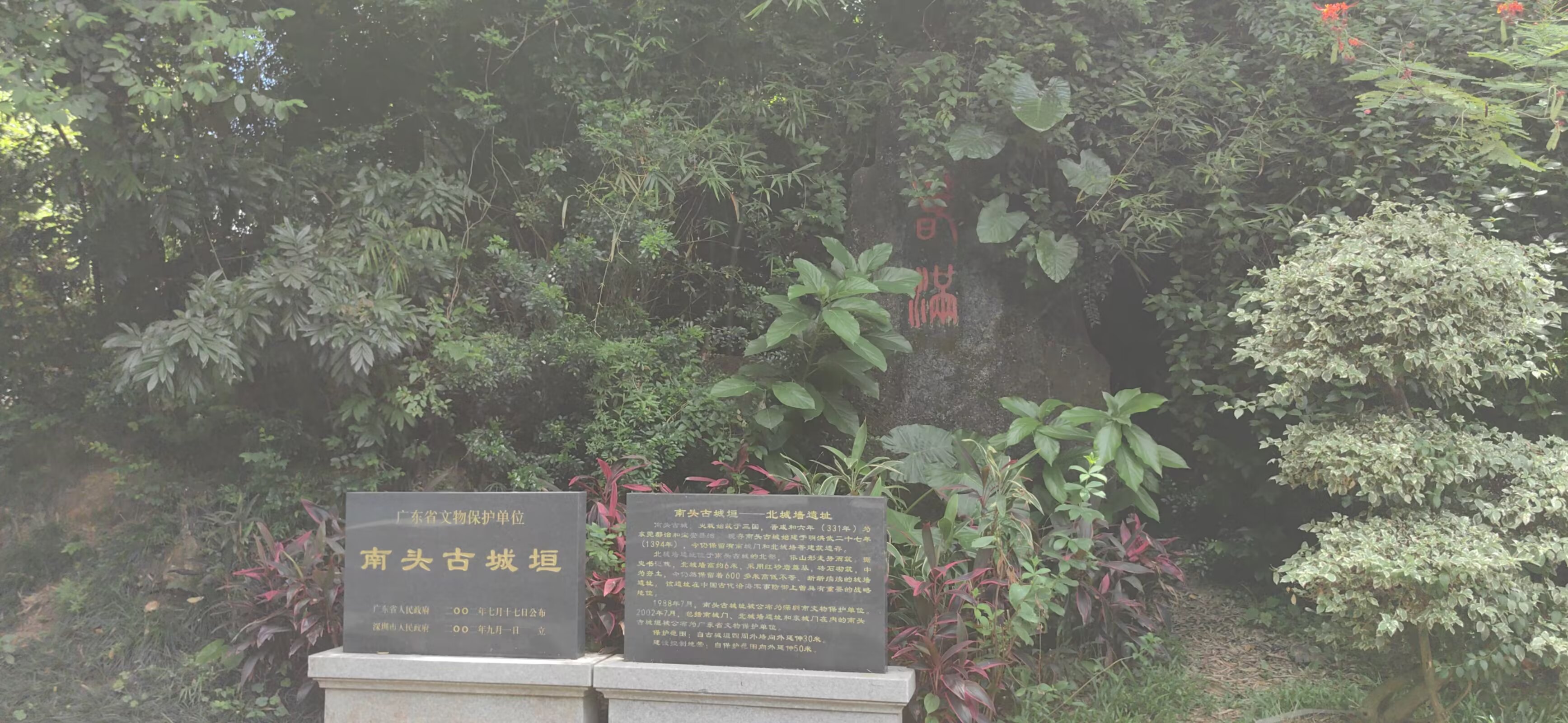 图片 7