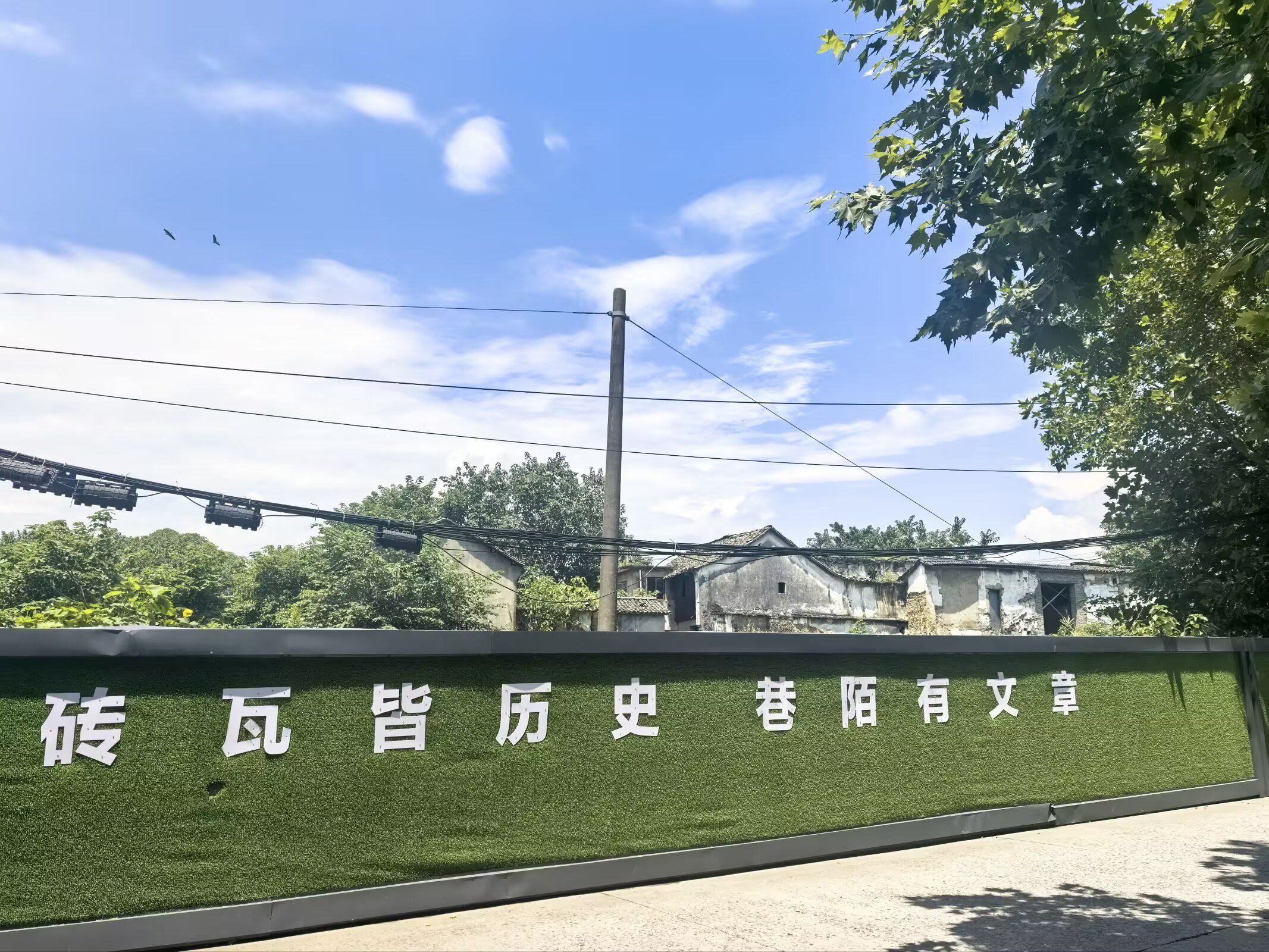 图片 7