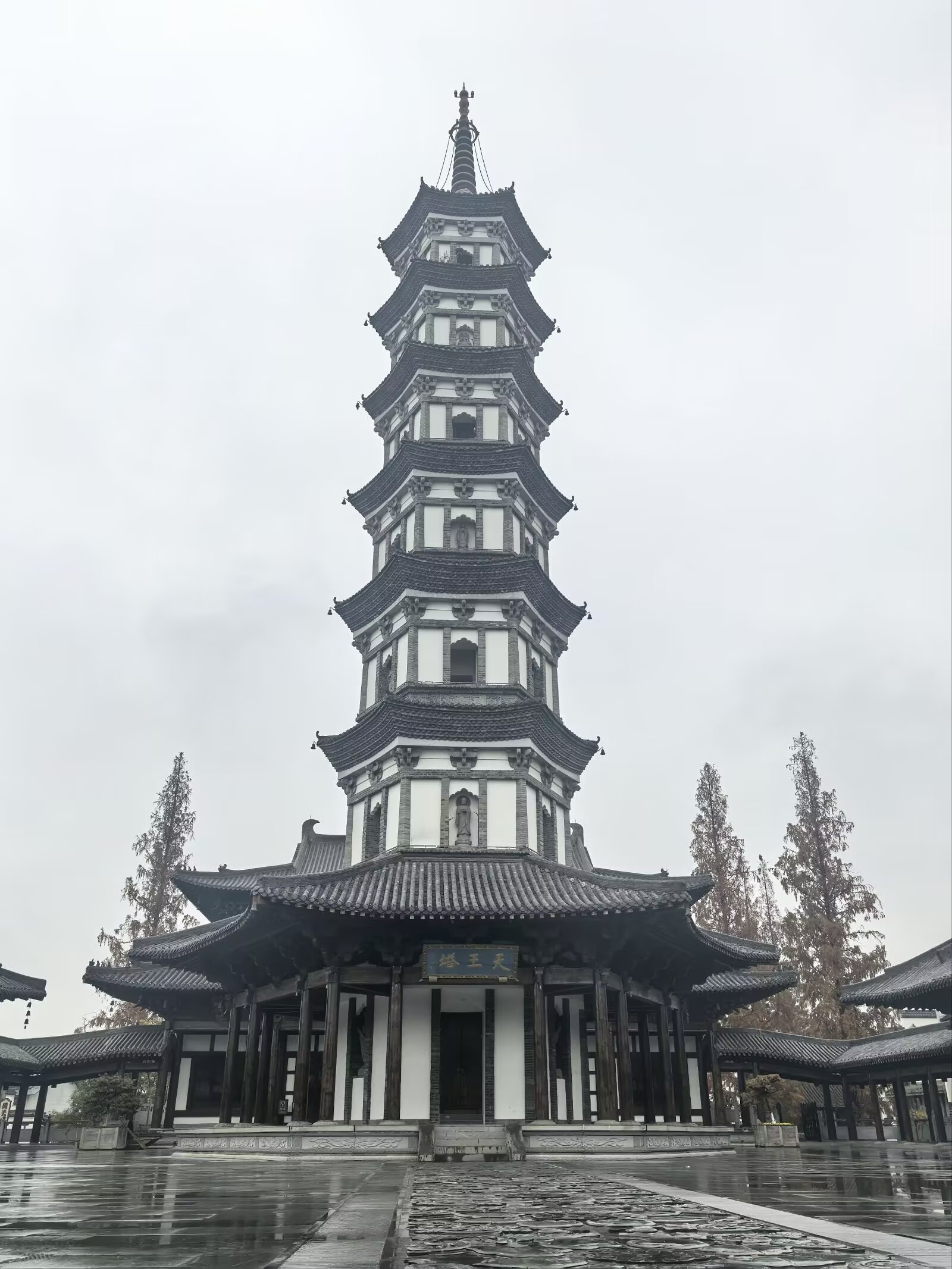 图片 7