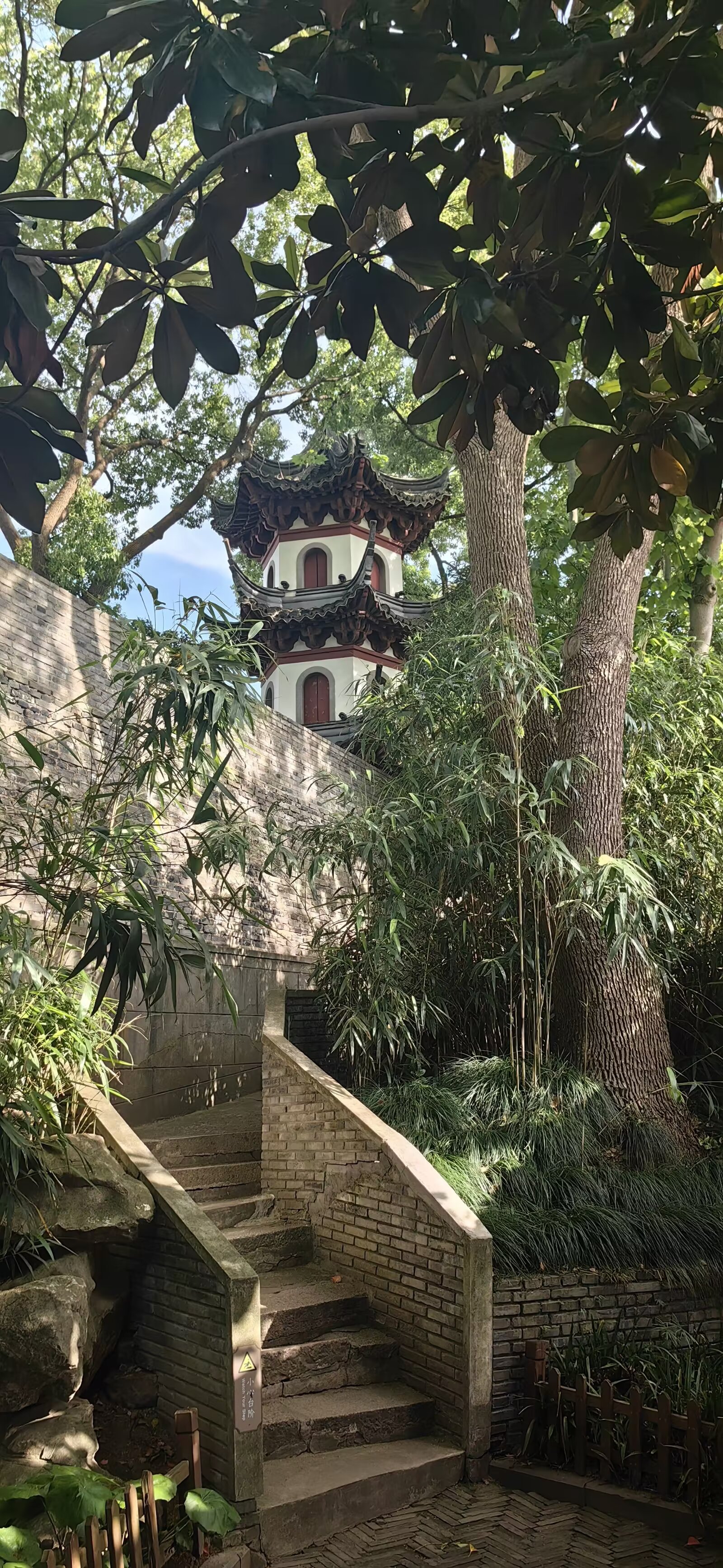 图片 8
