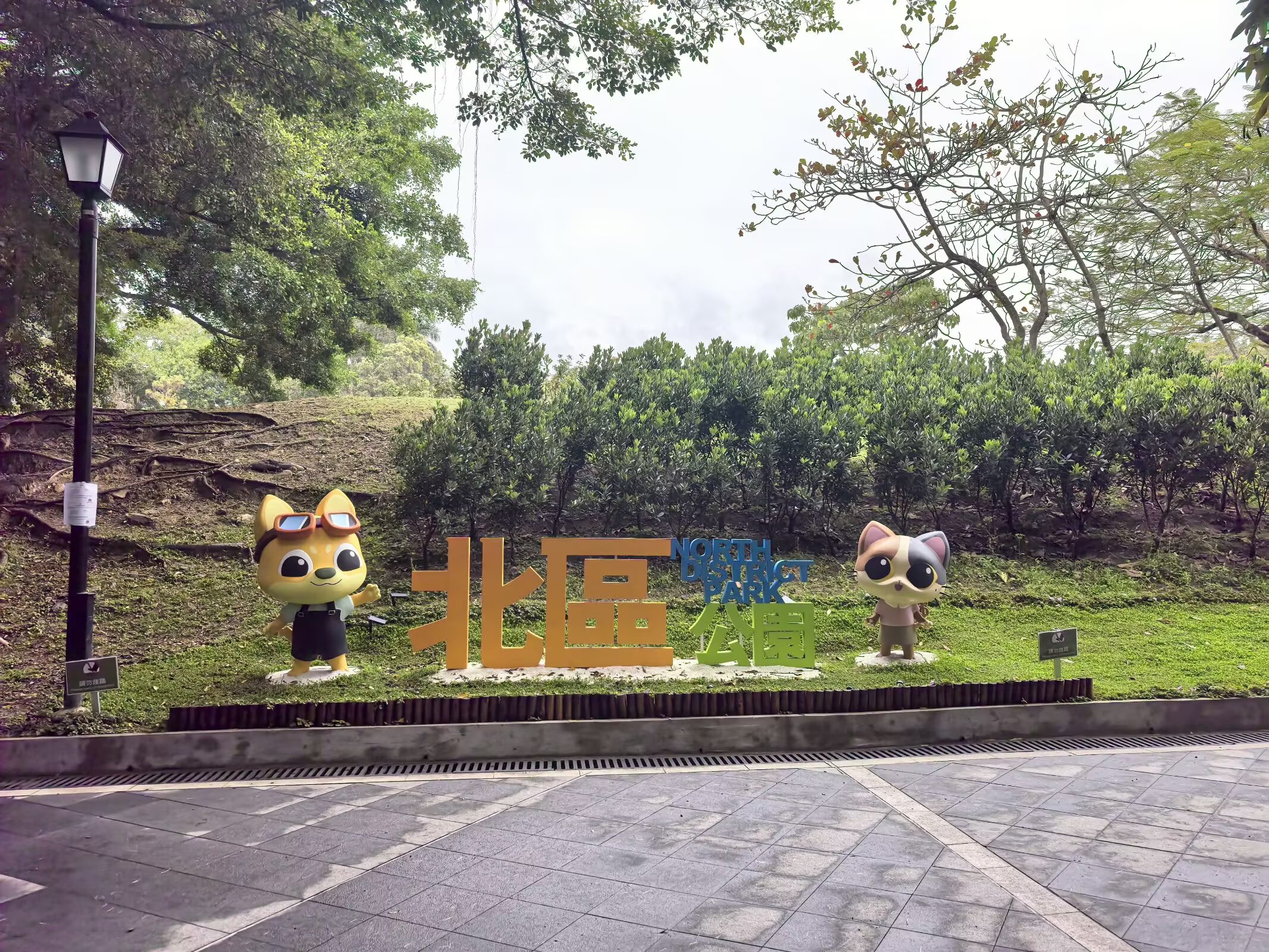 图片 8