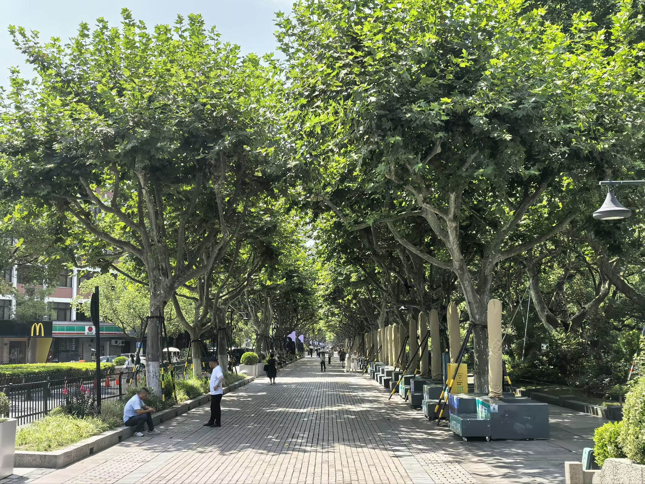 图片 8