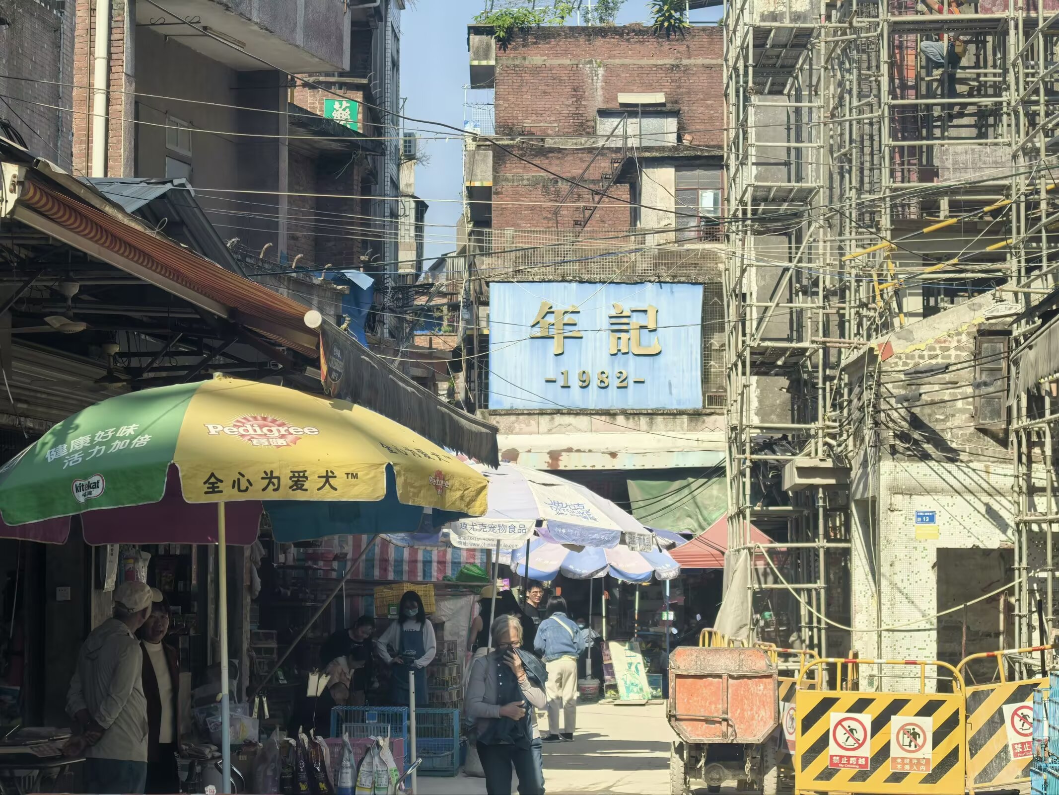 图片 9