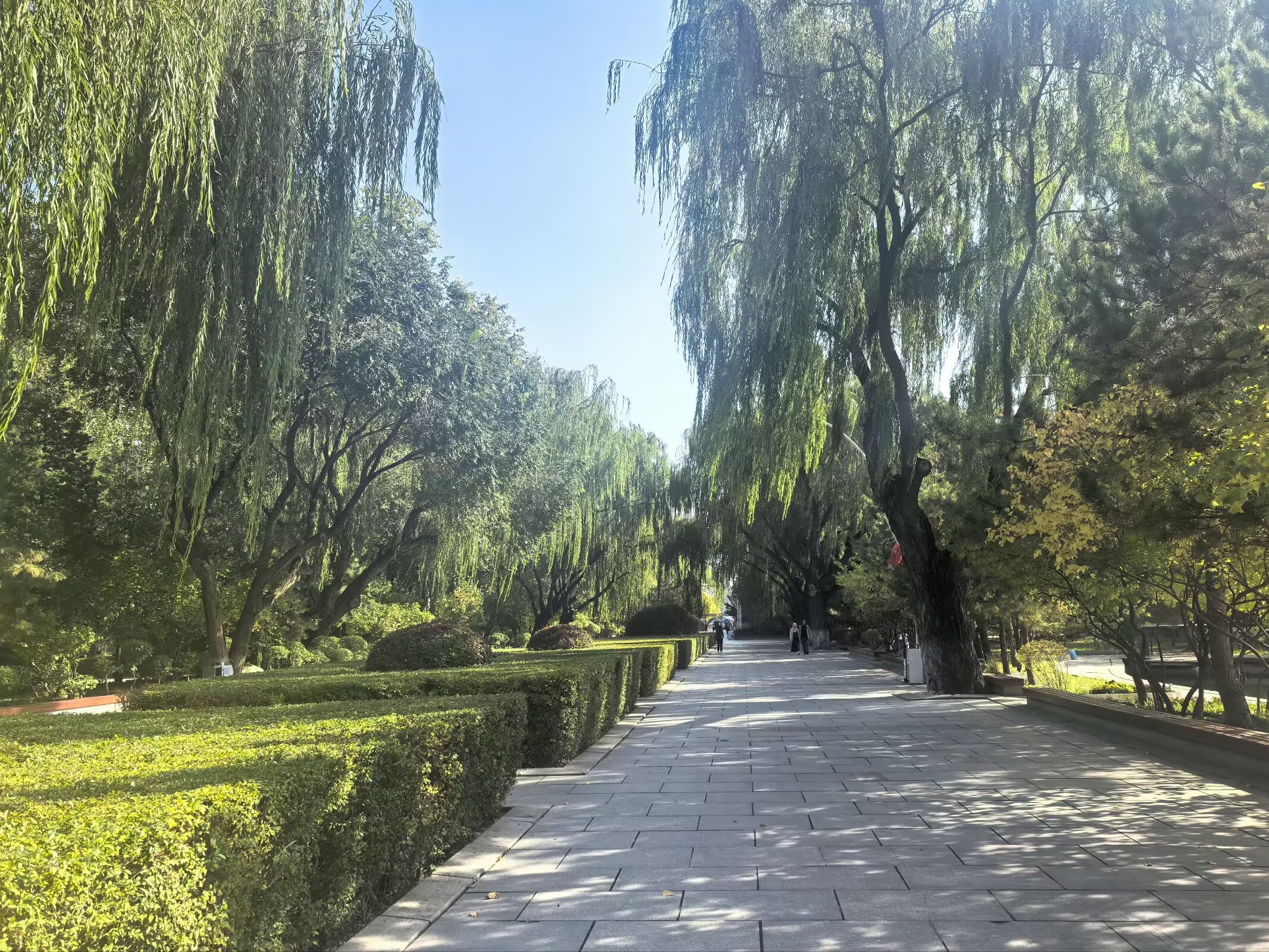 图片 9