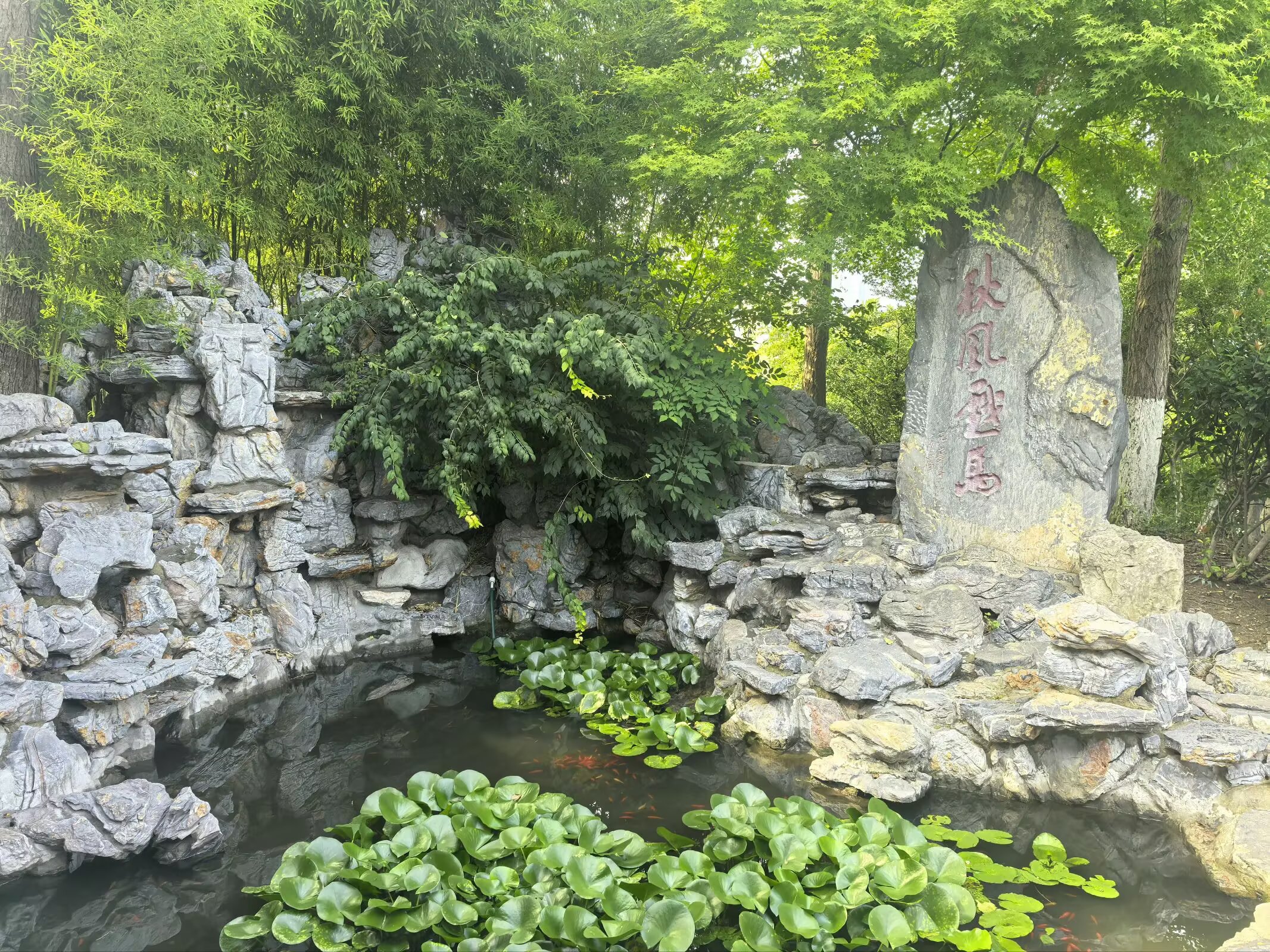 图片 10