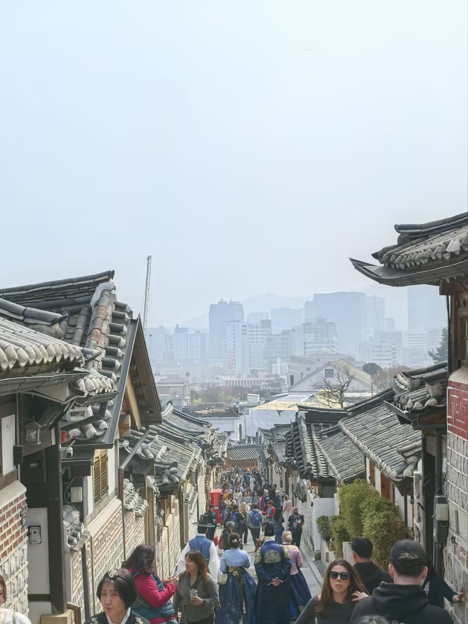 图片 12