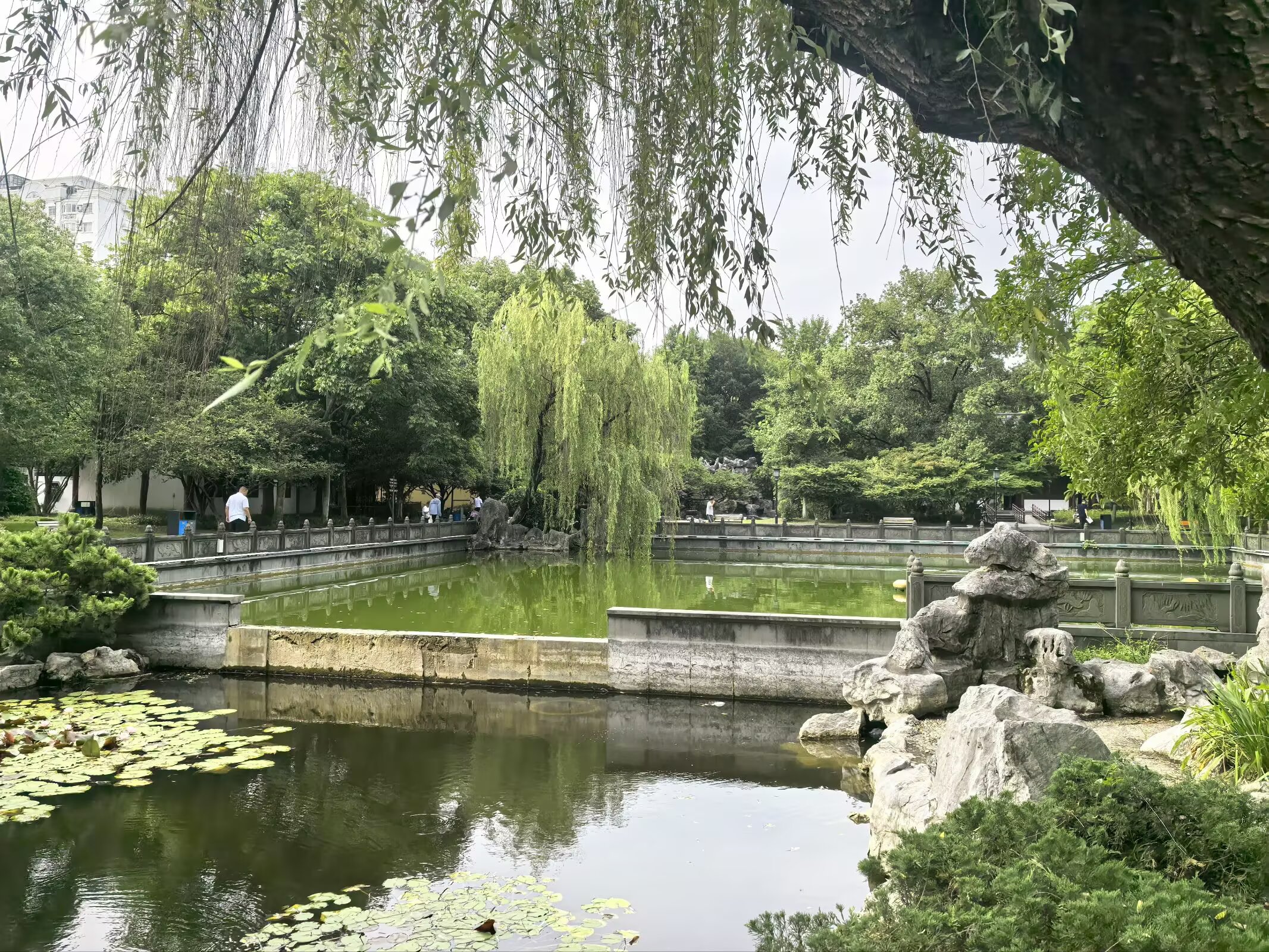 图片 14