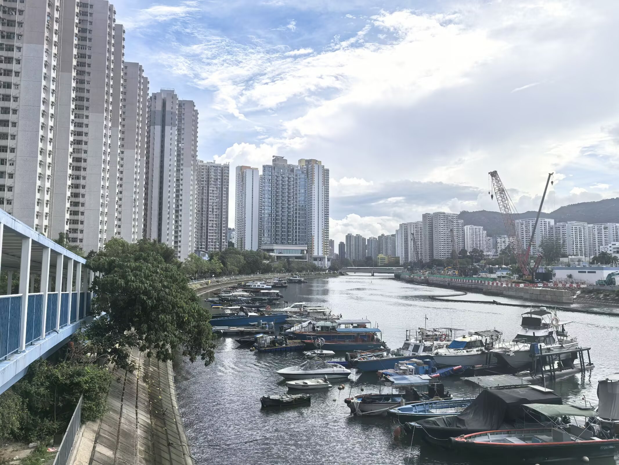 图片 14