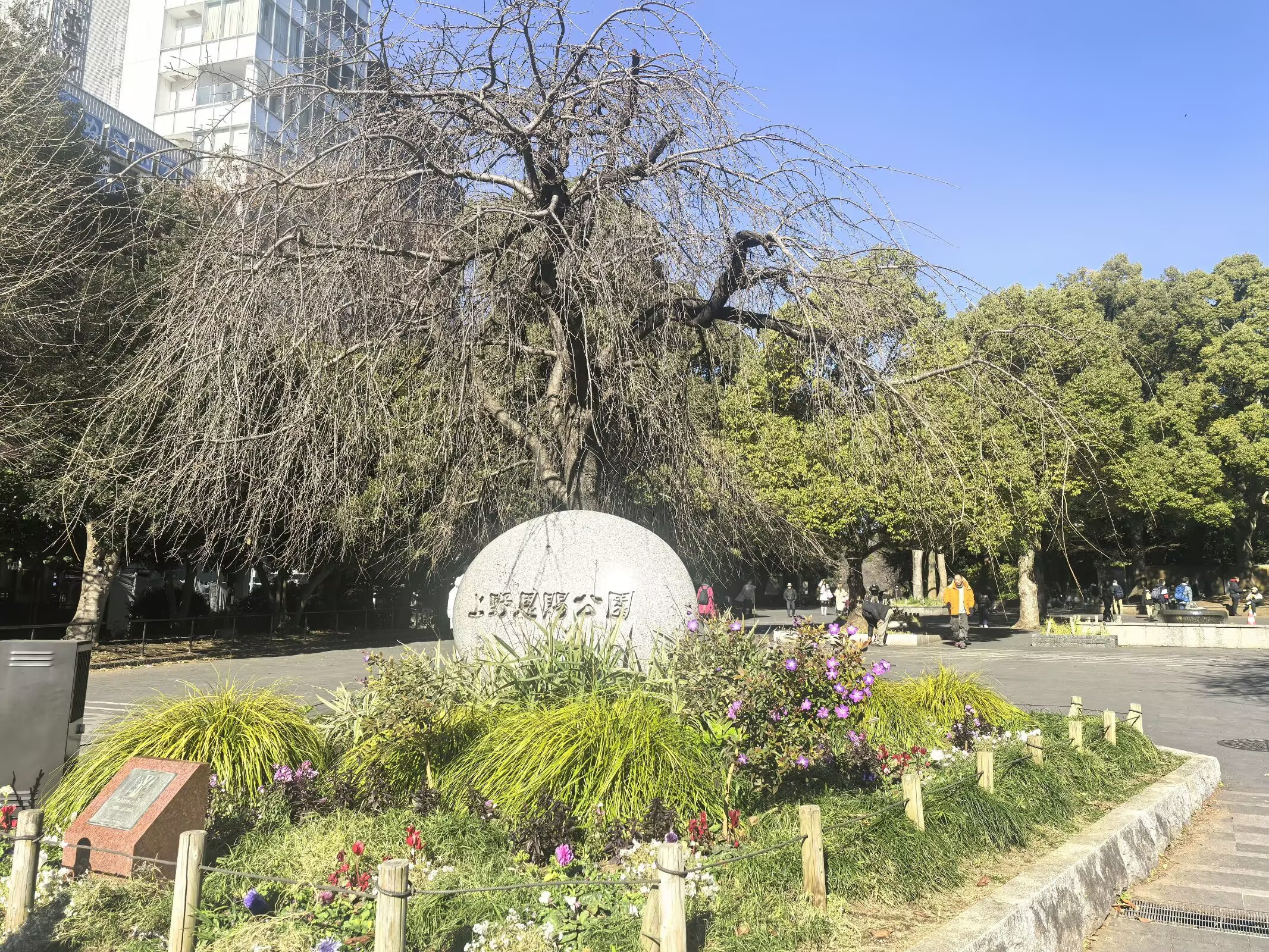 图片 15