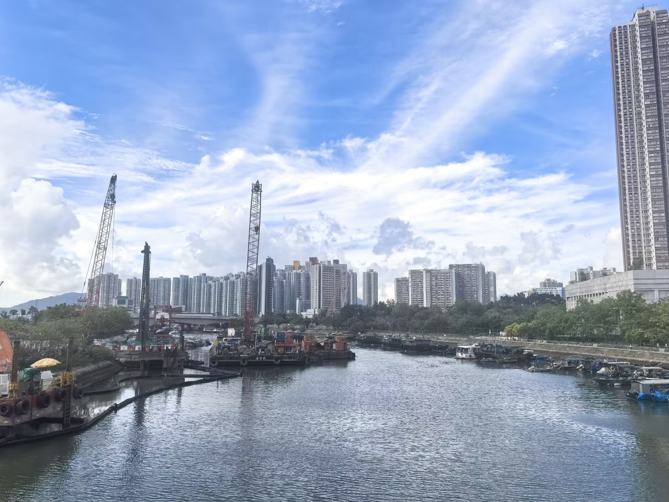 图片 15